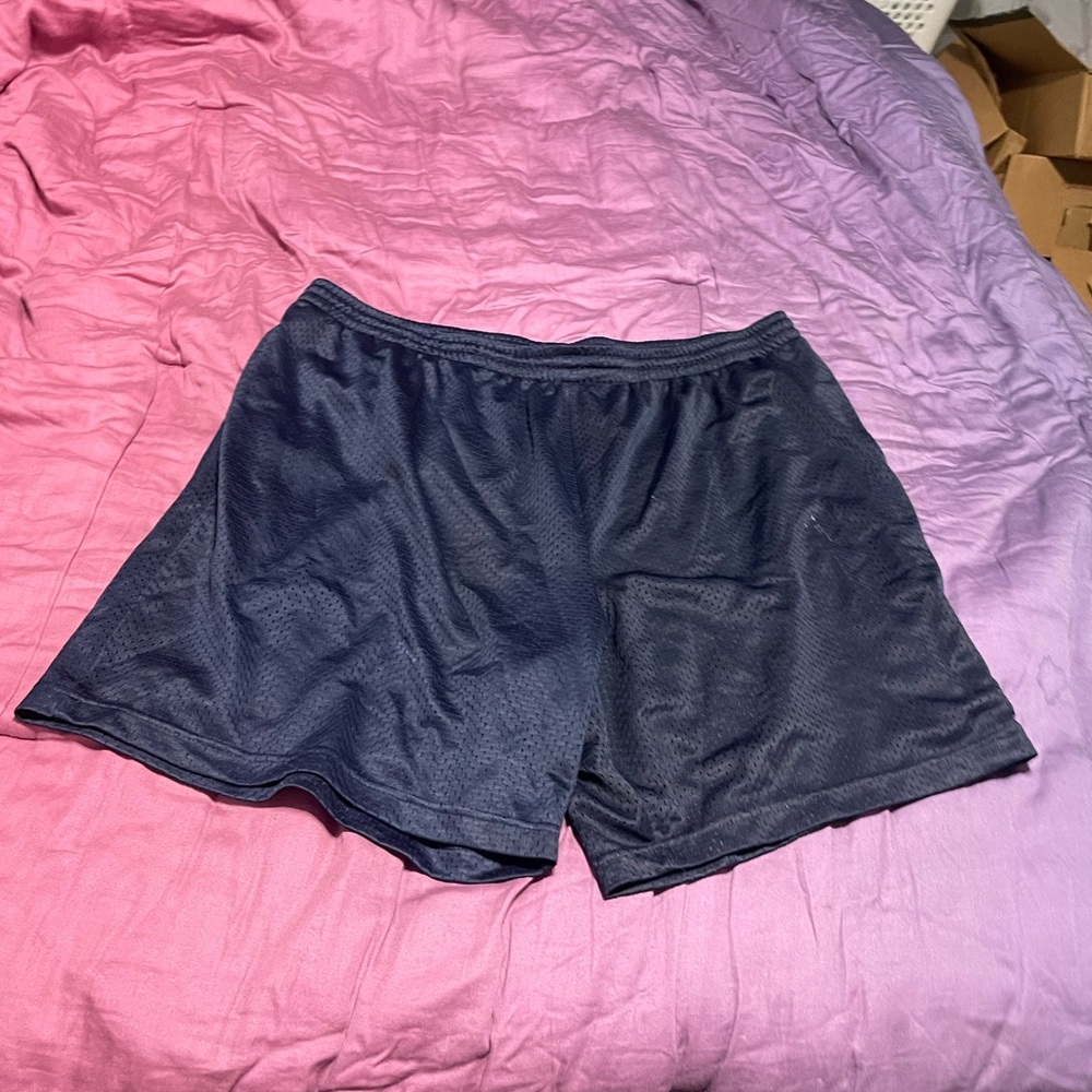 Blue Mesh Shorts